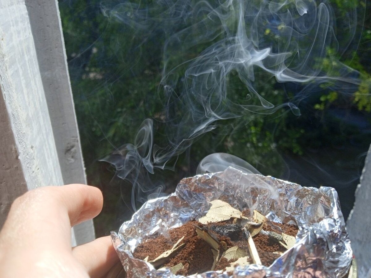 Если оставите тарелочку со сжигаемой лаврушкой на окне летом, то отпугнете от своего дома мух и комаров. Для усиления эффекта добавьте на тарелочку немного молотого кофе