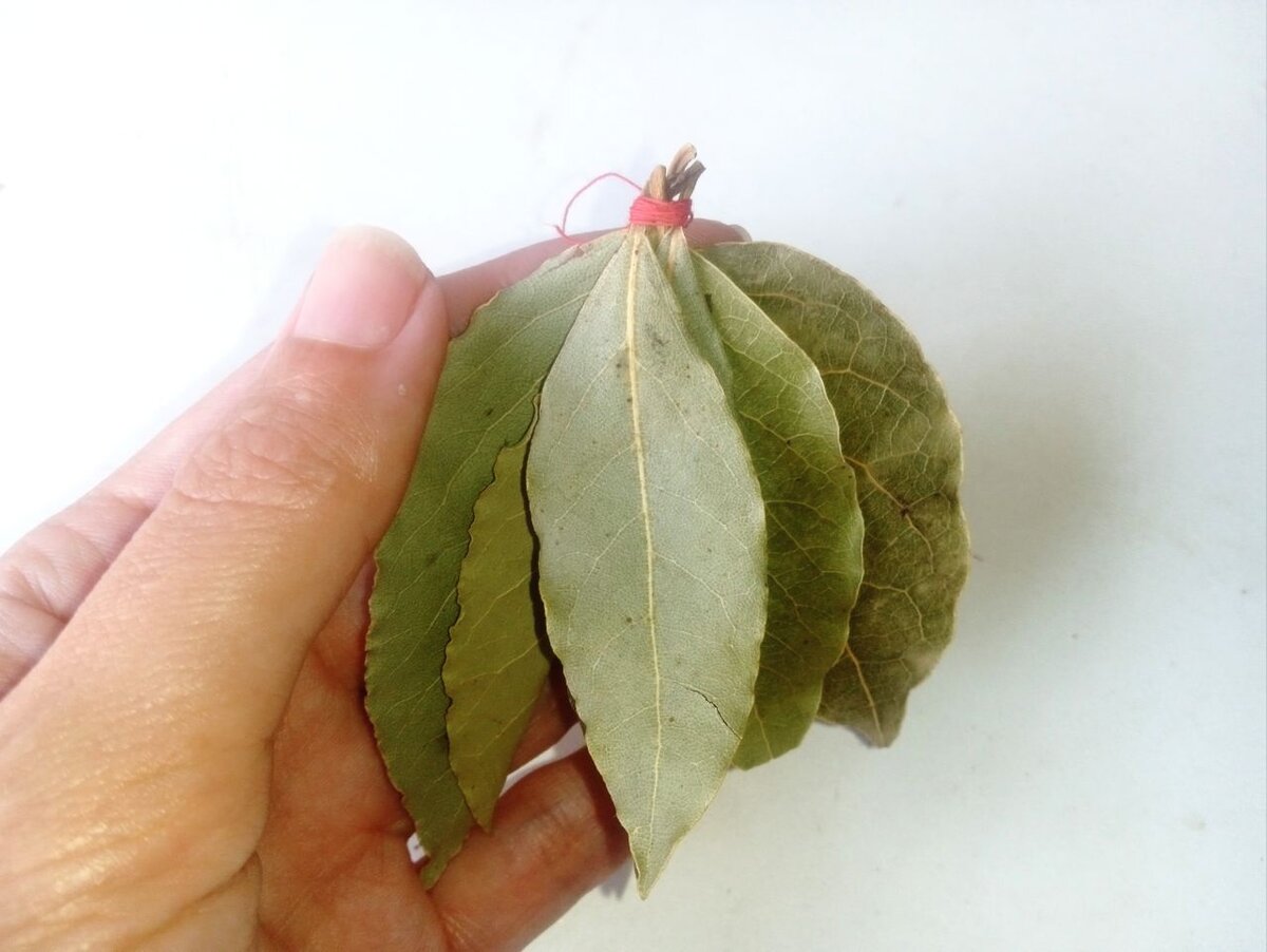 Это сильный талисман для обогащения