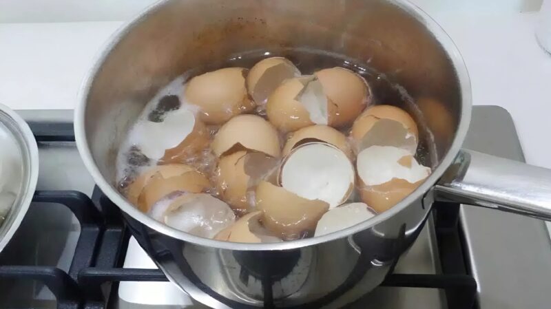 Заметил, что мама собирает яичную скорлупу и кипятит их: причина вас сильно удивит