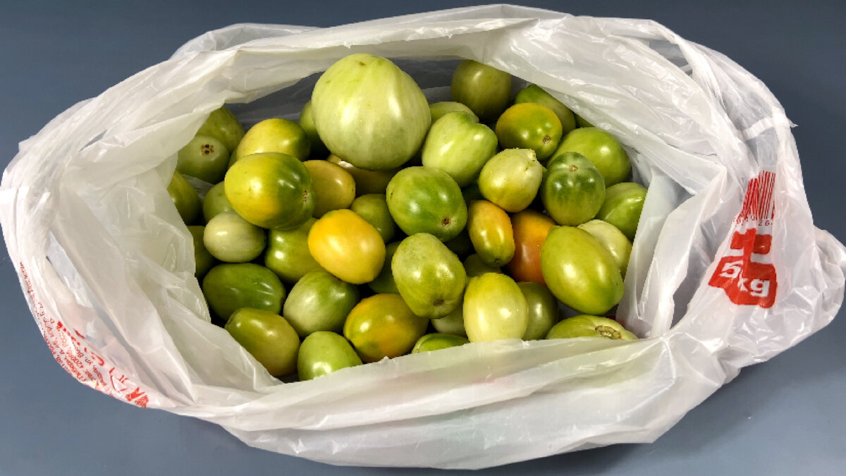 Фото автора Дзен канала "Мелодия вкуса"